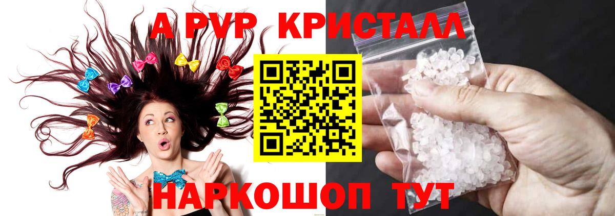 А ПВП СК Кингисепп