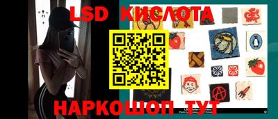 прущие грибы Комсомольск-на-Амуре