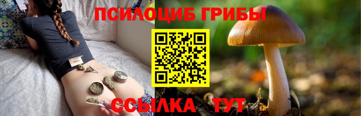 Псилоцибиновые грибы прущие грибы  Вход с VPN  Кингисепп  Галлюциногенные грибы ЛСД 