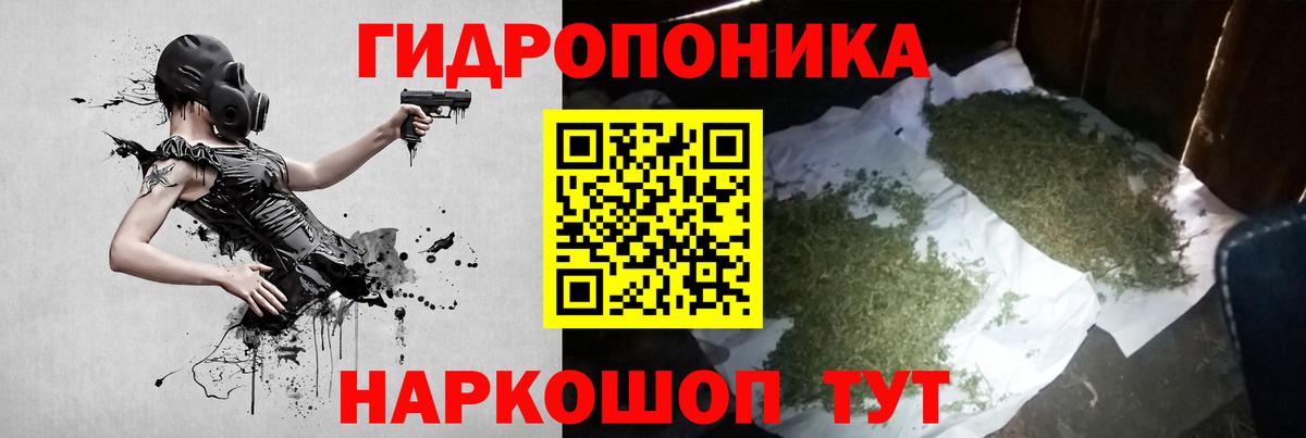 Марихуана гибрид Кингисепп